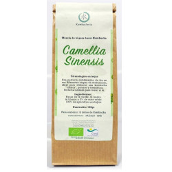 Camellia Sinensis - Mezcla de Té para hacer Kombucha