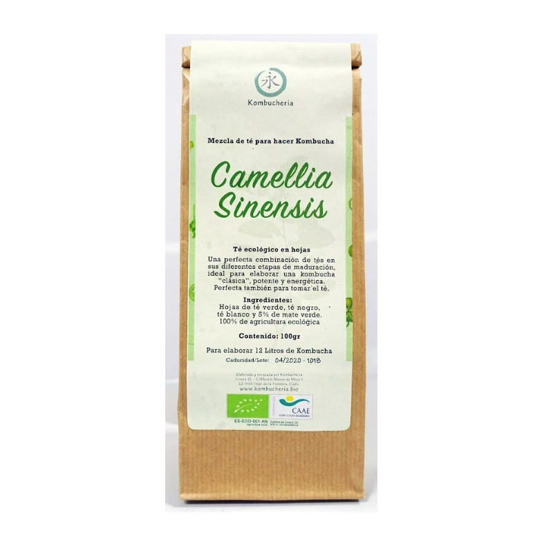 Camellia Sinensis - Mezcla de Té para hacer Kombucha