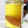 Cultivo De Kombucha (SCOBY) Bio