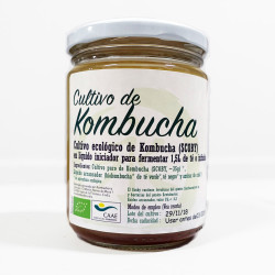 Cultivo De Kombucha (SCOBY) Bio