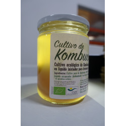 Cultivo De Kombucha (SCOBY) Bio