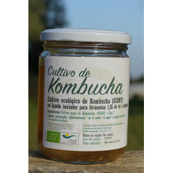 Cultivo De Kombucha (SCOBY) Bio