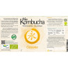 Bio Kombucha Cúrcuma 1L vidrio