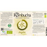 Bio Kombucha Jengibre 1L vidrio