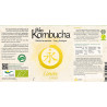 Bio Kombucha Limón 1L vidrio