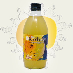 Bio Kombucha Sol 0,33L vidrio