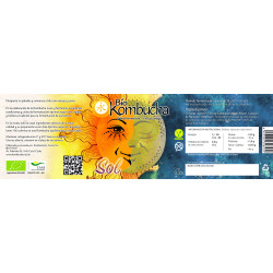 Bio Kombucha Sol 0,33L vidrio