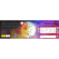Bio Kombucha Luna 0,33L vidrio