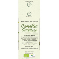 Camellia Sinensis - Mezcla de Té para hacer Kombucha