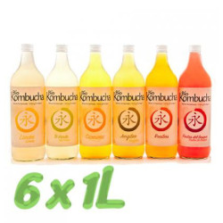 Caja BioKombucha de 6 botellas de 1L Vidrio