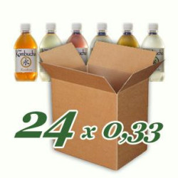 Caja Biokombucha 24x 0,33 L PET