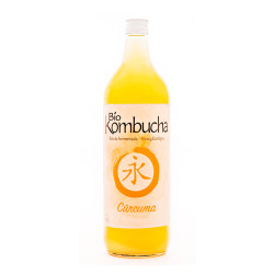 Bio Kombucha Cúrcuma 1L vidrio