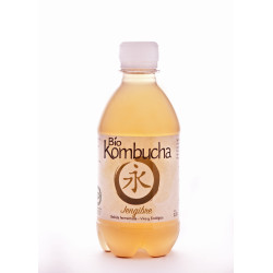 Bio Kombucha Jengibre 0,33L PET