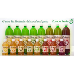 Caja 6 Botellas de BioKombucha PET 1,5L