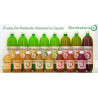 Caja 6 Botellas de BioKombucha PET 1,5L