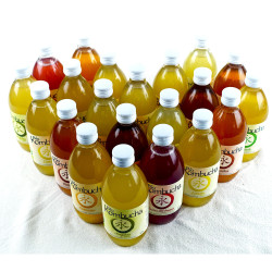 Caja BioKombucha 24 x 0,33L Vidrio