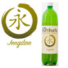 Bio Kombucha Jengibre 1,5L PET