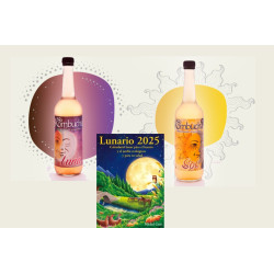 SET LUNAR -KOMBUCHA LUNA Y SOL + LUNARIO 2026