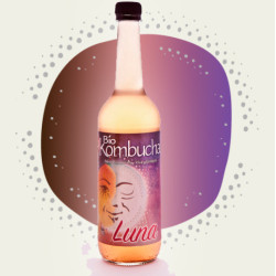 SET LUNAR -KOMBUCHA LUNA Y SOL + LUNARIO 2026