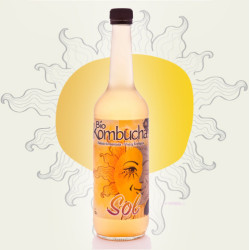 SET LUNAR -KOMBUCHA LUNA Y SOL + LUNARIO 2026