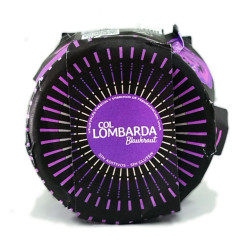 Comida fermentada rica: Kimchi, Chucrut, Jackfruit en salsa Curry