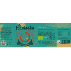 BioKombucha Happy Spices, 033ml - Edicion limitada Navidad