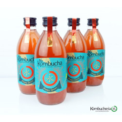 Caja Biokombucha Navidad Happy Spices, 8 botellas de 330ml vidrio