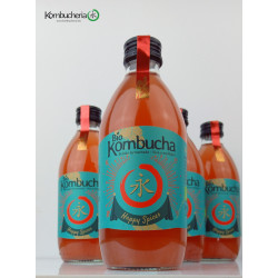 Caja Biokombucha Navidad Happy Spices, 8 botellas de 330ml vidrio