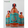 Caja Biokombucha Navidad Happy Spices, 8 botellas de 330ml vidrio