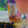 Bio Kombucha Luna 0,70L vidrio