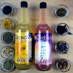 Bio Kombucha Sol 0,70L vidrio