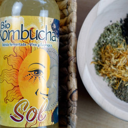 Bio Kombucha Sol 0,70L vidrio