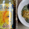 Bio Kombucha Sol 0,70L vidrio
