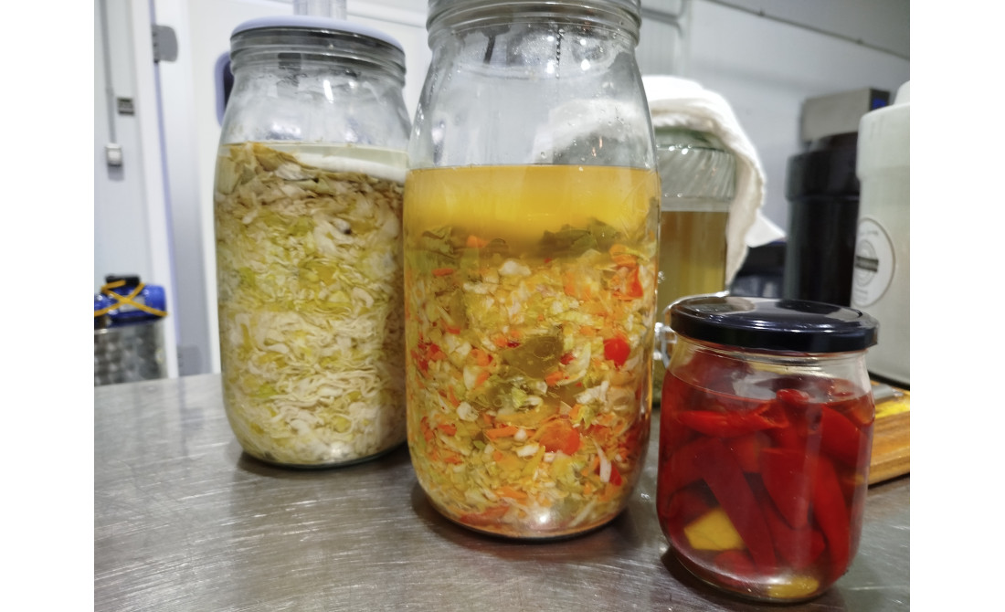 Fermentar en Casa: Criterios Clave para una Experiencia Segura, Deliciosa y Viva