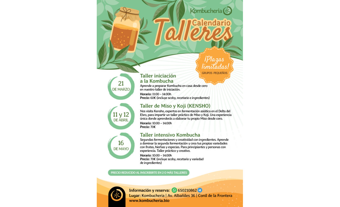 Talleres de fermentación en la Kombucheria